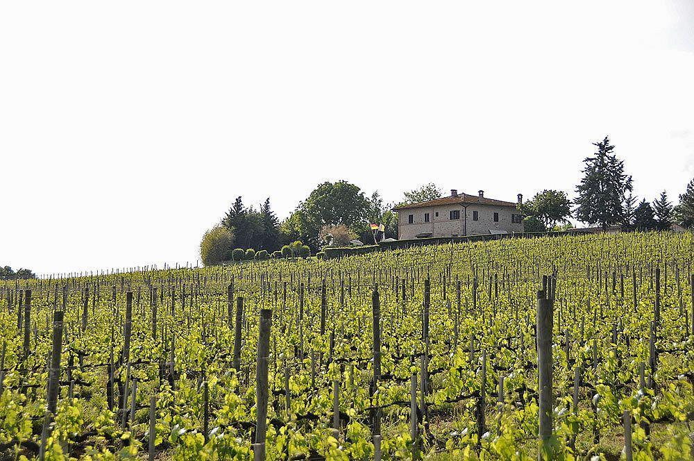 Il Colombaio, Siena -Appartamenti E Camere- Isola d'Arbia Екстер'єр фото