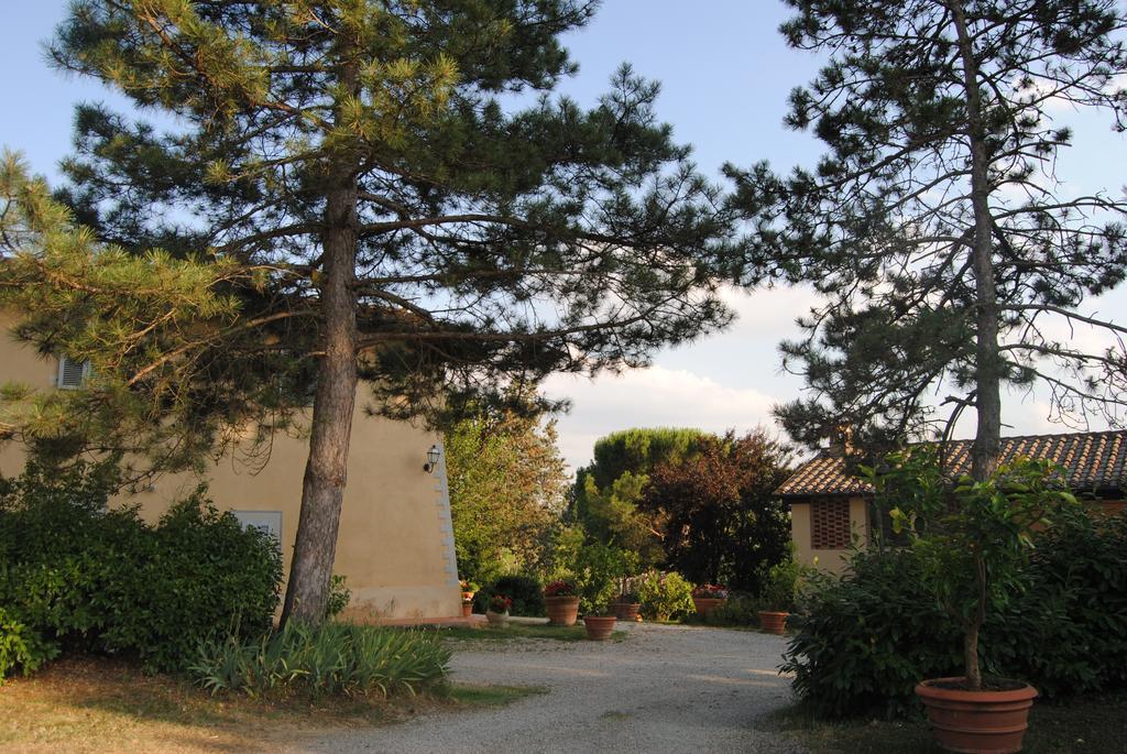Il Colombaio, Siena -Appartamenti E Camere- Isola d'Arbia Екстер'єр фото