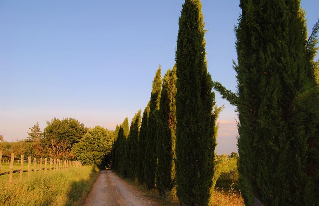 Il Colombaio, Siena -Appartamenti E Camere- Isola d'Arbia Екстер'єр фото