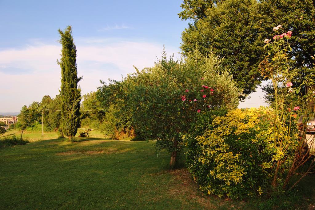 Il Colombaio, Siena -Appartamenti E Camere- Isola d'Arbia Екстер'єр фото