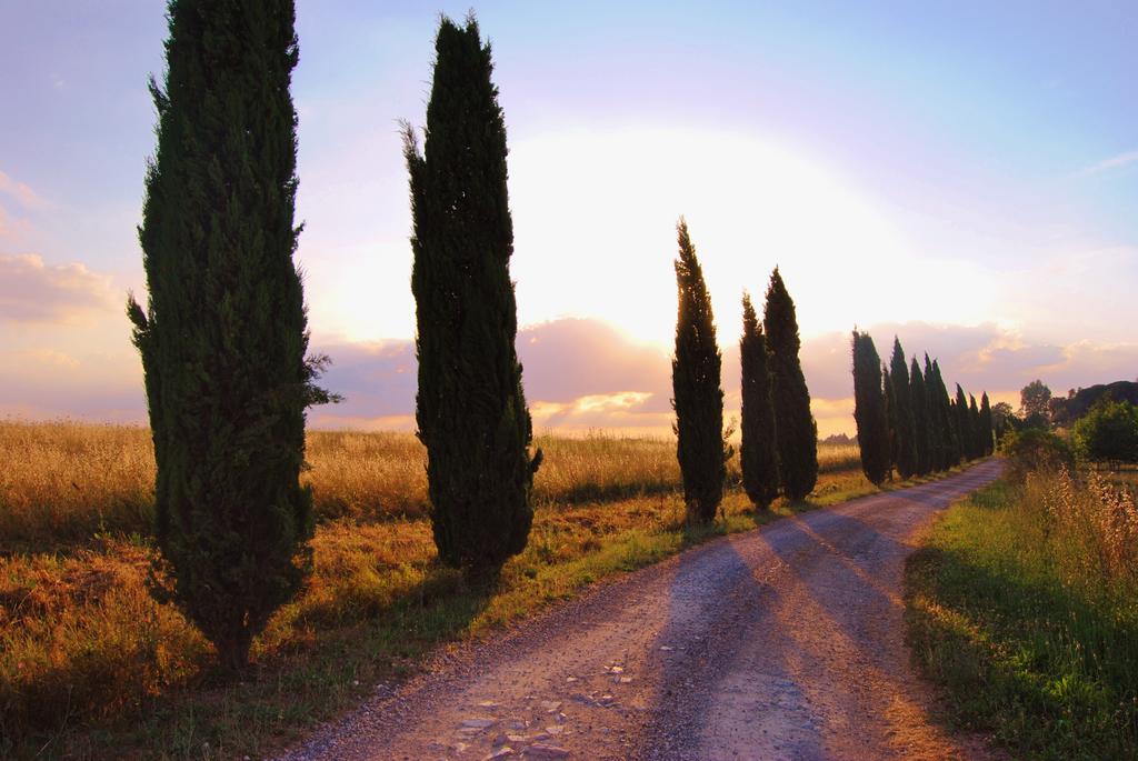 Il Colombaio, Siena -Appartamenti E Camere- Isola d'Arbia Екстер'єр фото